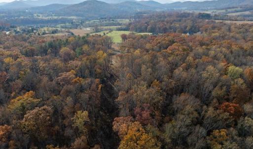 Photo #37 of TBD RED HILL RD, CHARLOTTESVILLE, VA 21.0 acres