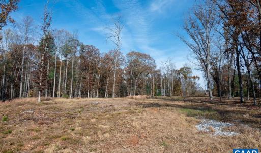 Photo #11 of TBD RED HILL RD, CHARLOTTESVILLE, VA 21.0 acres