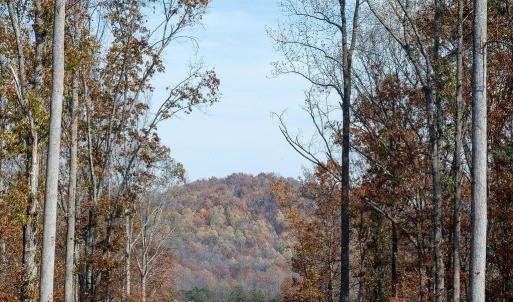 Photo #15 of TBD RED HILL RD, CHARLOTTESVILLE, VA 21.0 acres