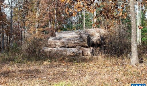 Photo #41 of TBD RED HILL RD, CHARLOTTESVILLE, VA 21.0 acres