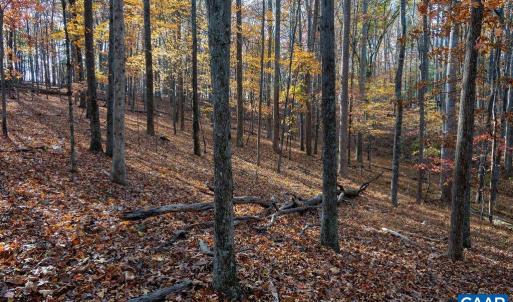 Photo #32 of TBD RED HILL RD, CHARLOTTESVILLE, VA 21.0 acres