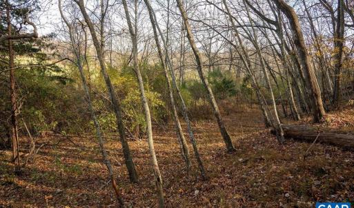 Photo #40 of TBD RED HILL RD, CHARLOTTESVILLE, VA 21.0 acres