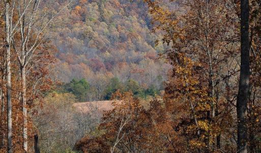 Photo #28 of TBD RED HILL RD, CHARLOTTESVILLE, VA 21.0 acres