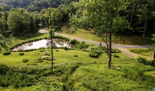 Photo #5 of 1390 PERKINS HOLLOW LN, FABER, VA 93.8 acres