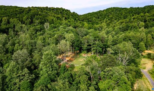 Photo #19 of 1390 PERKINS HOLLOW LN, FABER, VA 93.8 acres