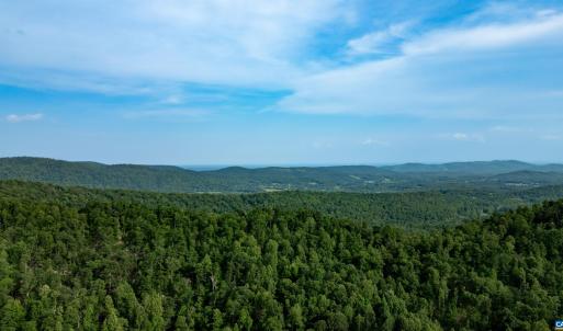 Photo #23 of 1390 PERKINS HOLLOW LN, FABER, VA 93.8 acres