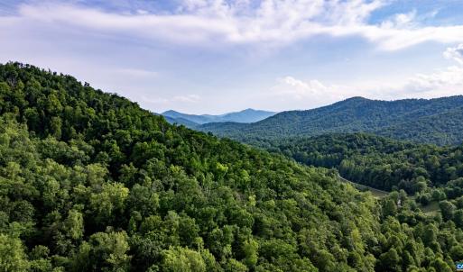 Photo #22 of 1390 PERKINS HOLLOW LN, FABER, VA 93.8 acres