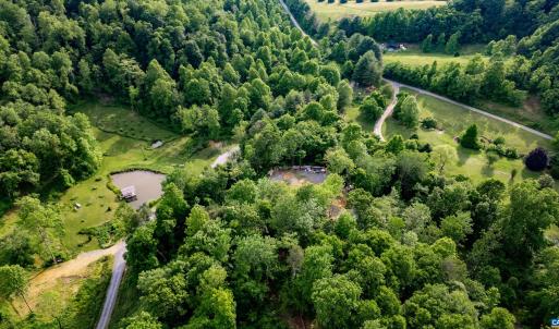 Photo #1 of 1390 PERKINS HOLLOW LN, FABER, VA 93.8 acres