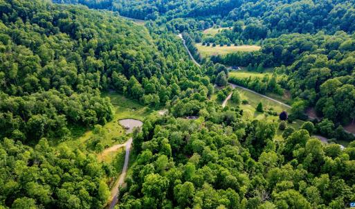 Photo #21 of 1390 PERKINS HOLLOW LN, FABER, VA 93.8 acres