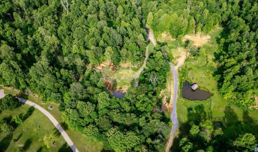 Photo #17 of 1390 PERKINS HOLLOW LN, FABER, VA 93.8 acres