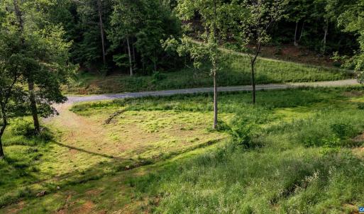Photo #10 of 1390 PERKINS HOLLOW LN, FABER, VA 93.8 acres