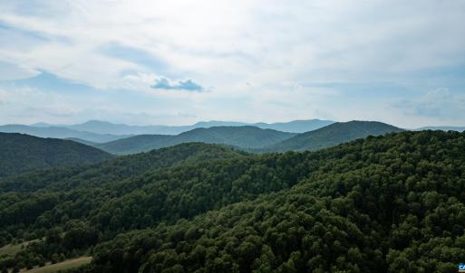 Photo #24 of 1390 PERKINS HOLLOW LN, FABER, VA 93.8 acres