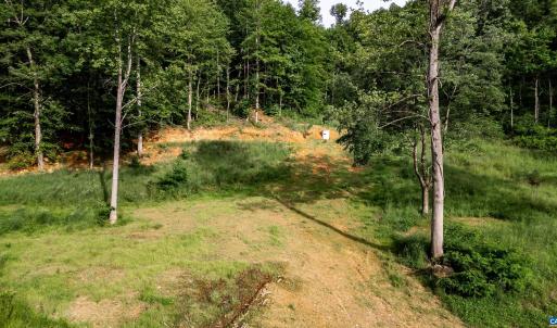 Photo #9 of 1390 PERKINS HOLLOW LN, FABER, VA 93.8 acres
