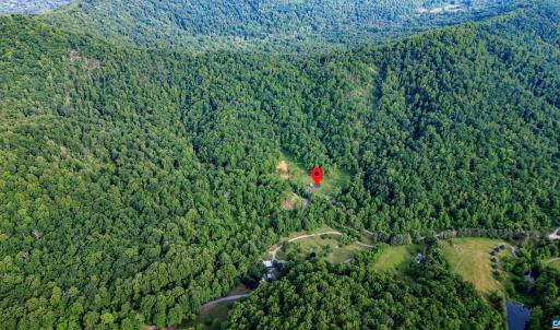 Photo #16 of 1390 PERKINS HOLLOW LN, FABER, VA 93.8 acres