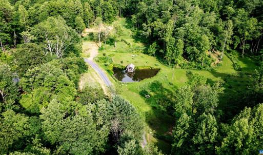 Photo #3 of 1390 PERKINS HOLLOW LN, FABER, VA 93.8 acres