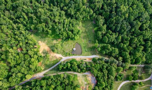 Photo #15 of 1390 PERKINS HOLLOW LN, FABER, VA 93.8 acres