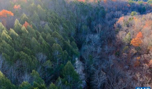 Photo #4 of MANTEO RD, BUCKINGHAM, VA 53.5 acres