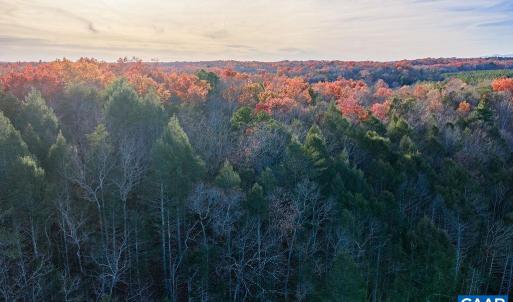 Photo #12 of MANTEO RD, BUCKINGHAM, VA 53.5 acres