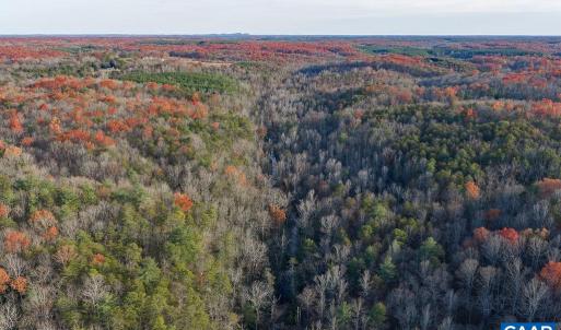 Photo #16 of MANTEO RD, BUCKINGHAM, VA 53.5 acres