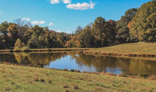 Photo #13 of Lot 21 ROLLING RD S, SCOTTSVILLE, VA 15.0 acres