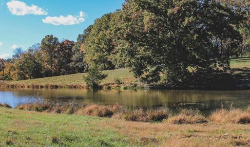 Photo #12 of Lot 21 ROLLING RD S, SCOTTSVILLE, VA 15.0 acres