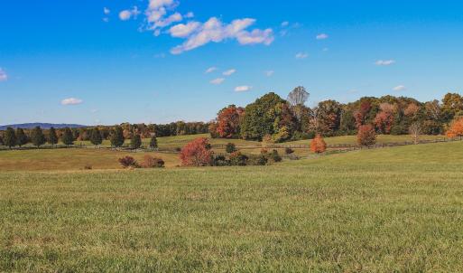 Photo #21 of Lot 21 ROLLING RD S, SCOTTSVILLE, VA 15.0 acres