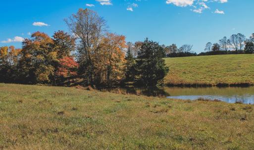 Photo #16 of Lot 21 ROLLING RD S, SCOTTSVILLE, VA 15.0 acres