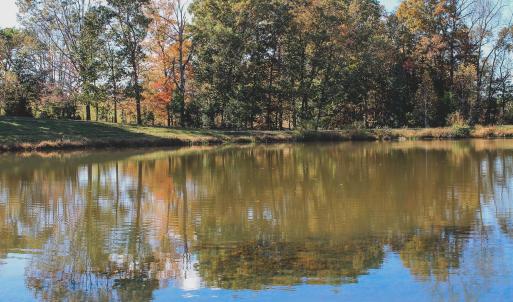 Photo #14 of Lot 21 ROLLING RD S, SCOTTSVILLE, VA 15.0 acres