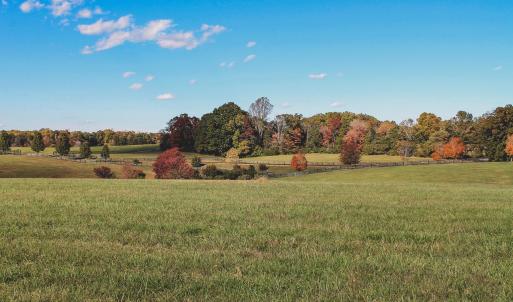 Photo #20 of Lot 21 ROLLING RD S, SCOTTSVILLE, VA 15.0 acres