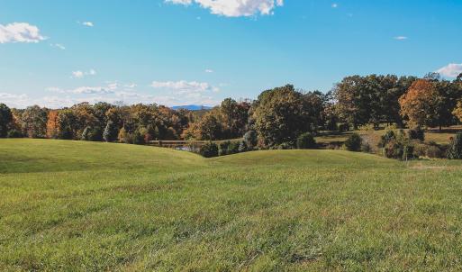 Photo #19 of Lot 21 ROLLING RD S, SCOTTSVILLE, VA 15.0 acres