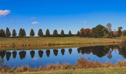 Photo #17 of Lot 21 ROLLING RD S, SCOTTSVILLE, VA 15.0 acres