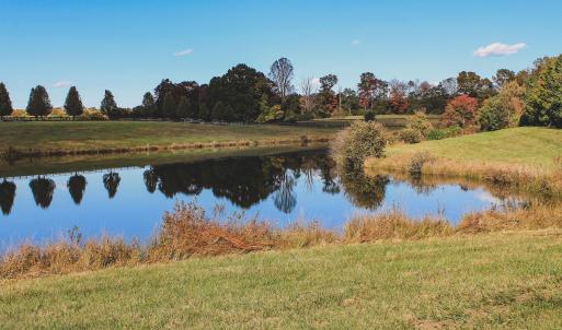 Photo #18 of Lot 21 ROLLING RD S, SCOTTSVILLE, VA 15.0 acres