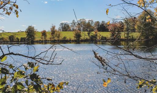 Photo #17 of Lot 20 ROLLING RD S, SCOTTSVILLE, VA 26.3 acres