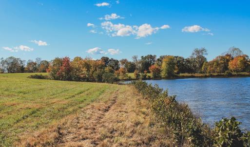 Photo #11 of Lot 20 ROLLING RD S, SCOTTSVILLE, VA 26.3 acres