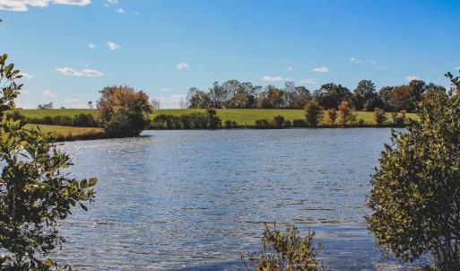 Photo #15 of Lot 20 ROLLING RD S, SCOTTSVILLE, VA 26.3 acres