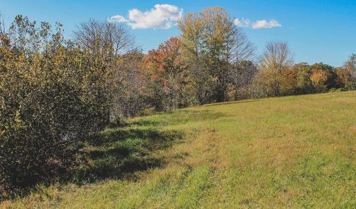 Photo #16 of Lot 20 ROLLING RD S, SCOTTSVILLE, VA 26.3 acres