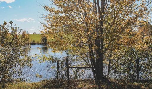 Photo #19 of Lot 20 ROLLING RD S, SCOTTSVILLE, VA 26.3 acres