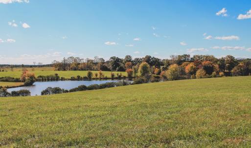 Photo #14 of Lot 20 ROLLING RD S, SCOTTSVILLE, VA 26.3 acres