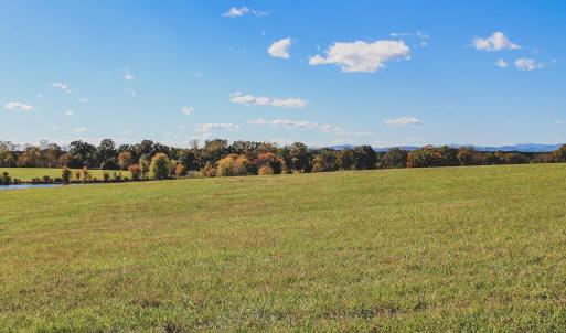 Photo #13 of Lot 20 ROLLING RD S, SCOTTSVILLE, VA 26.3 acres