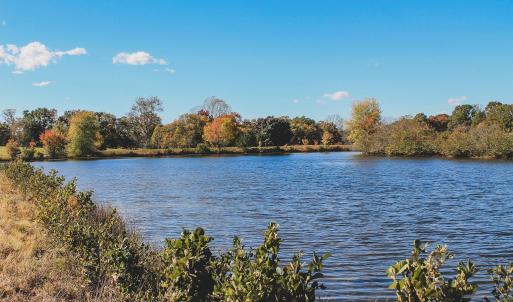 Photo #10 of Lot 20 ROLLING RD S, SCOTTSVILLE, VA 26.3 acres