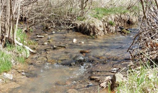 Photo #3 of tbd SAM SNEAD HWY, WARM SPRINGS, VA 32.0 acres