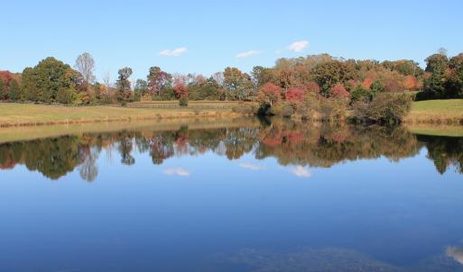 Photo #10 of Lot 19 ROLLING RD S, SCOTTSVILLE, VA 19.3 acres