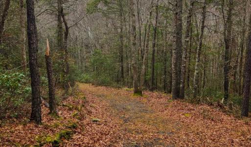 Photo #10 of 3763 POTOMAC RIVER RD, MONTEREY, VA 16.6 acres