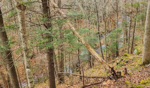 Photo #8 of 3763 POTOMAC RIVER RD, MONTEREY, VA 16.6 acres