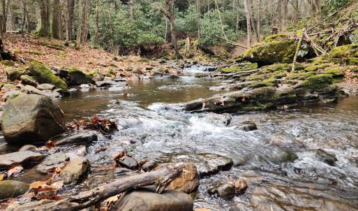 Photo #2 of 3763 POTOMAC RIVER RD, MONTEREY, VA 16.6 acres