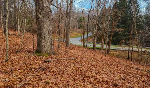Photo #17 of 3763 POTOMAC RIVER RD, MONTEREY, VA 16.6 acres