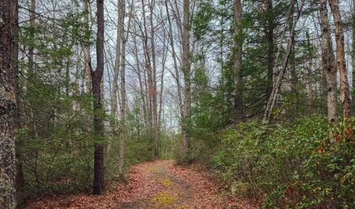Photo #11 of 3763 POTOMAC RIVER RD, MONTEREY, VA 16.6 acres