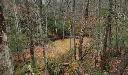 Photo #5 of 3763 POTOMAC RIVER RD, MONTEREY, VA 16.6 acres
