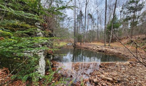 Photo #3 of 3763 POTOMAC RIVER RD, MONTEREY, VA 16.6 acres