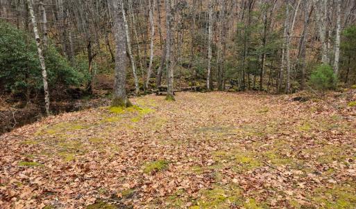 Photo #4 of 3763 POTOMAC RIVER RD, MONTEREY, VA 16.6 acres